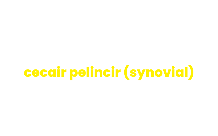 240826-WEBSITE-LAXTRON-KAPSUL-04.png